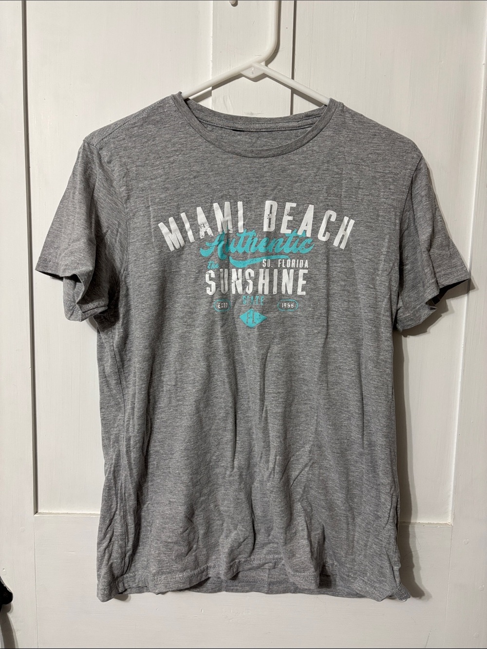 Miami Beach Sunshine Graphic Tee - Gray